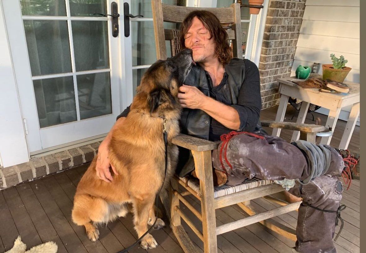 Daryl's dog from The Walking Dead dies: actor shows cute photos with his pet