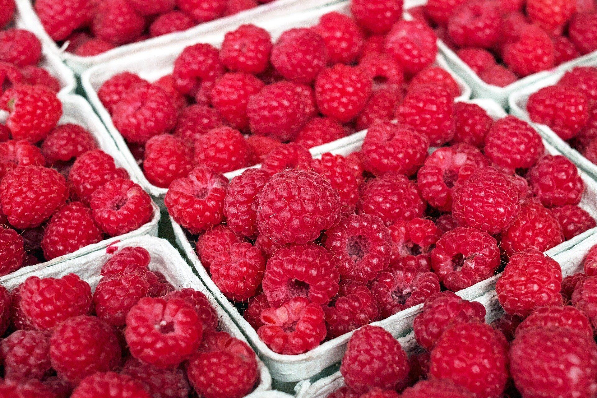 Raspberries for a drink