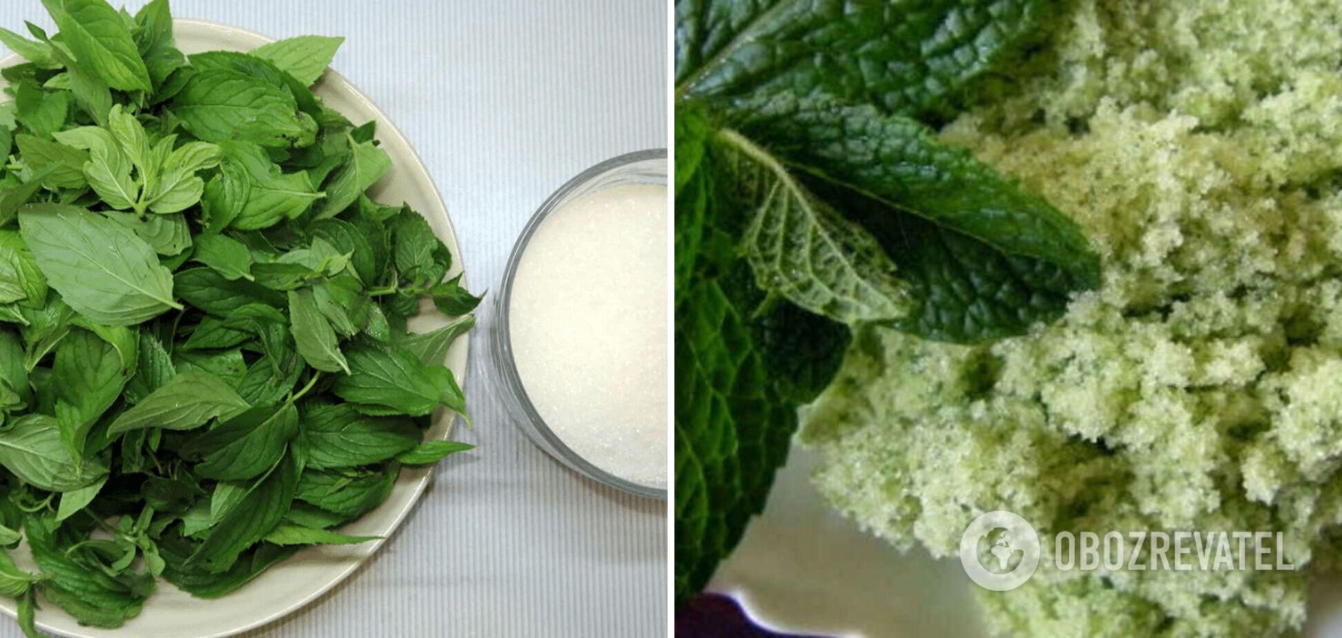 Mint sugar at home from two ingredients