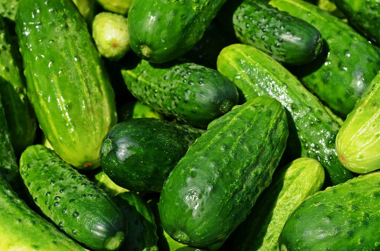 How to bake cucumbers in the oven.