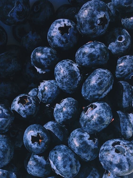 Baking and desserts with blueberries