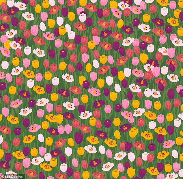 Find the bee in the flower field: a colorful puzzle for the most attentive