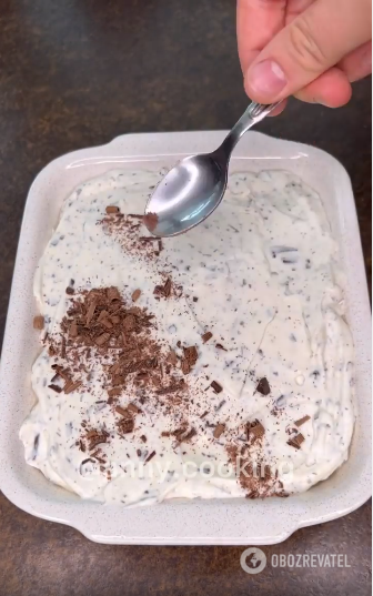 Delicious homemade Straccitella ice cream: you only need four ingredients