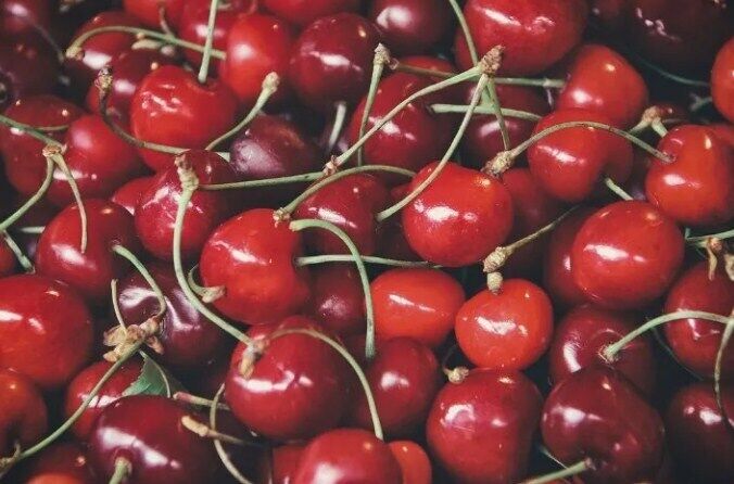 Home-grown cherries
