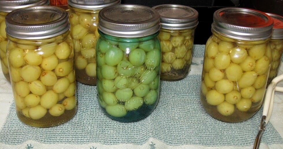 Delicious pickled grapes without vinegar for winter