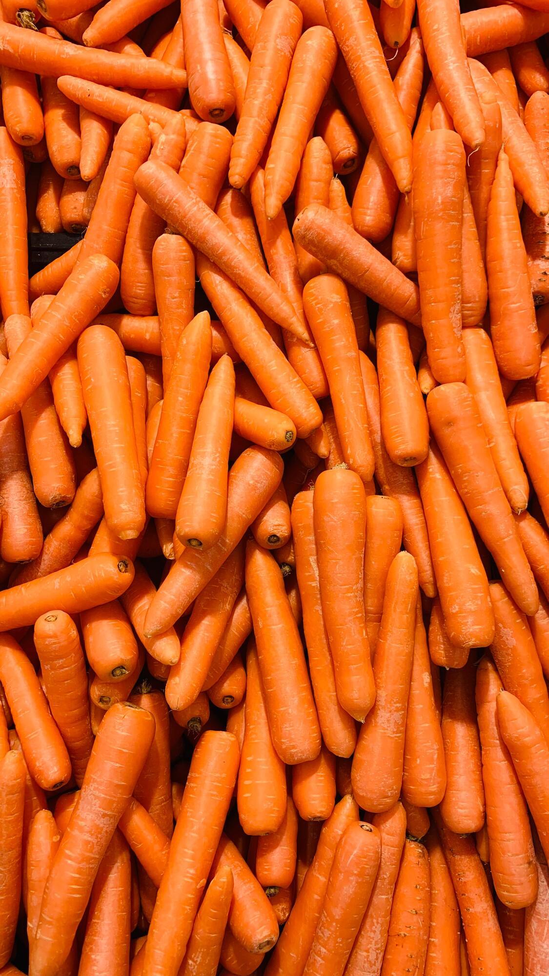 Fresh carrots