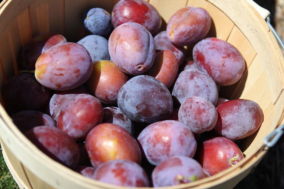 How to prepare plums for freezing