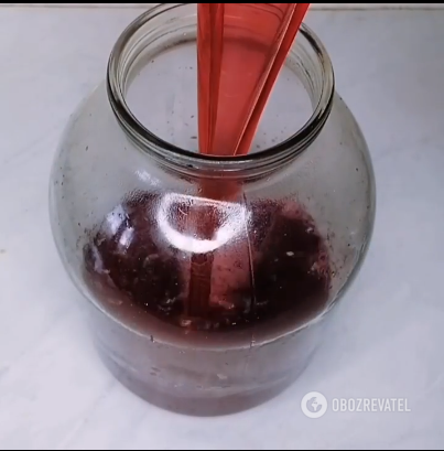 How to make homemade cherry liqueur: we share the simplest technology