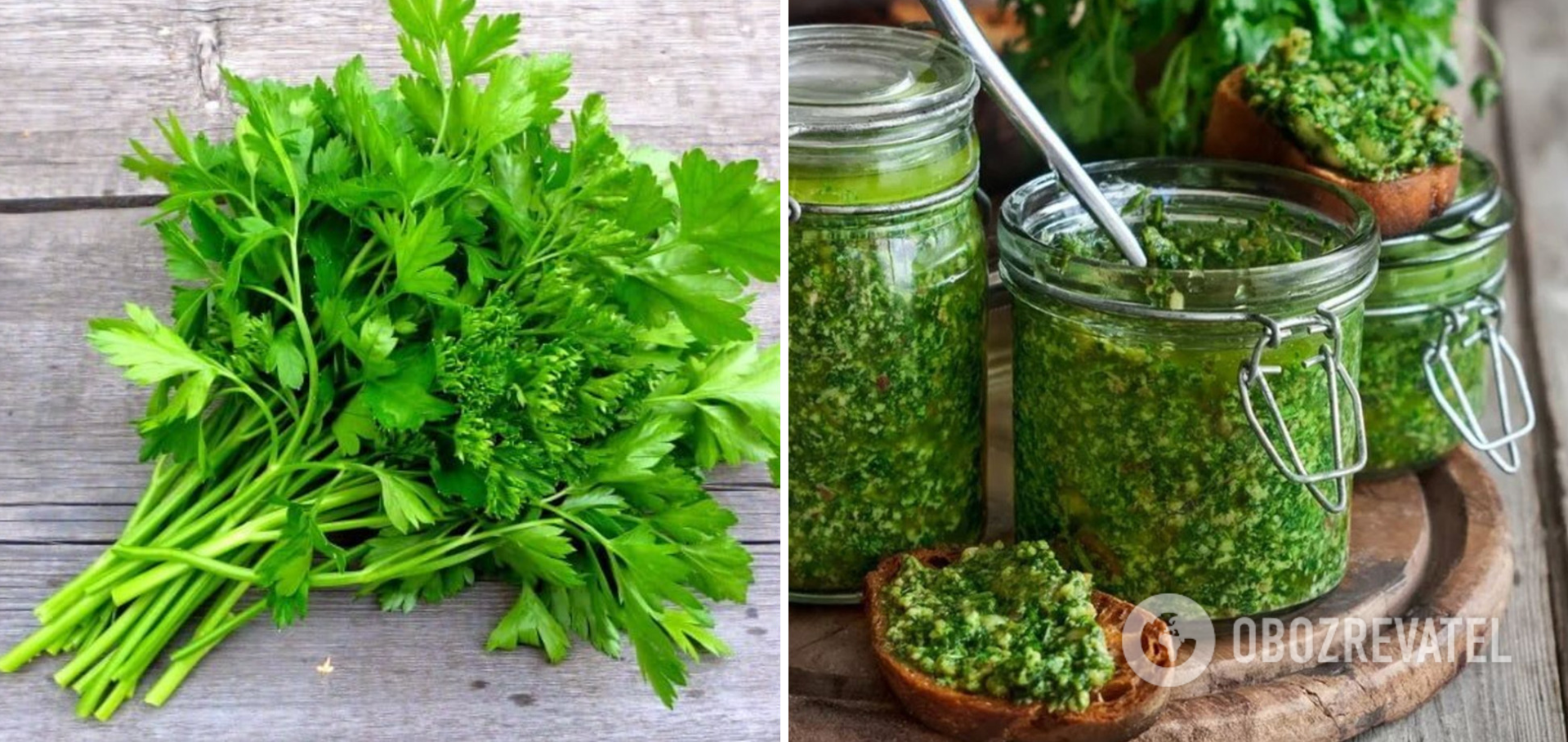 Parsley in jars for the winter