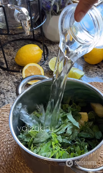 Lemonade with mint: making the most popular summer drink