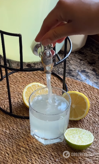 Lemonade with mint: making the most popular summer drink