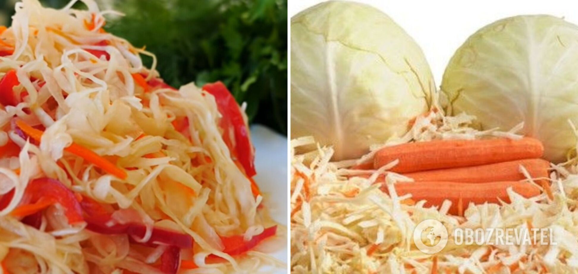 Cabbage, carrot, pepper and onion salad