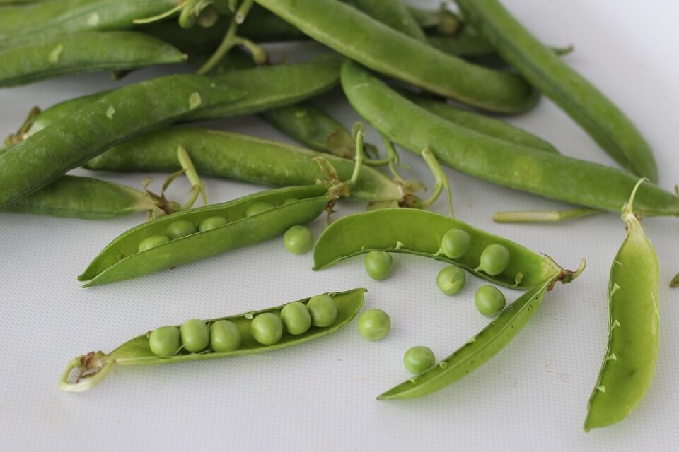 How to prepare green peas for the winter