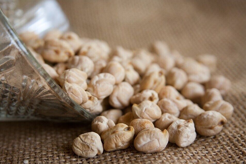 Chickpeas for the dish