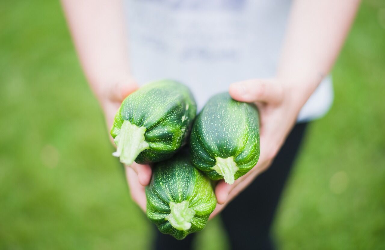 Home-grown zucchini