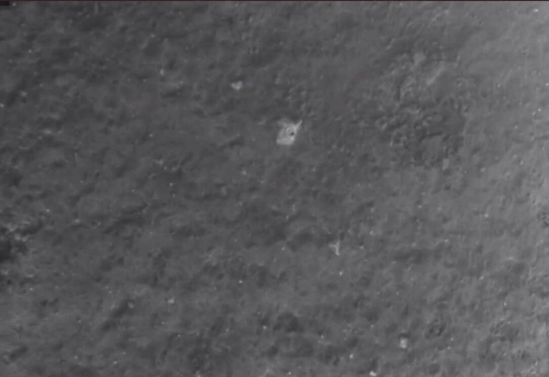 Chinese probe successfully lands on the far side of the Moon. Video