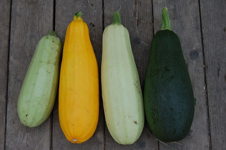 What not to plant next to zucchini: the vegetable will grow poorly and deteriorate
