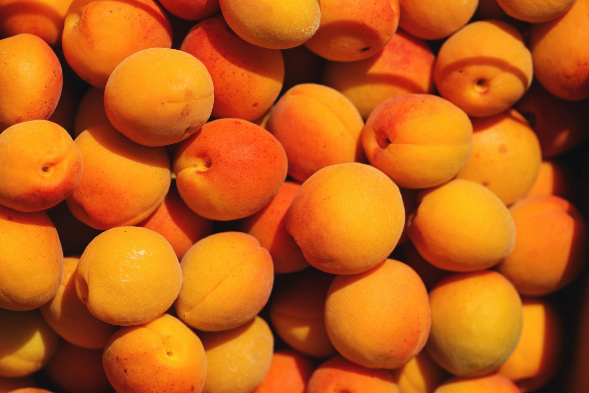 How to cook apricot jam correctly to make it healthy: the simplest technology