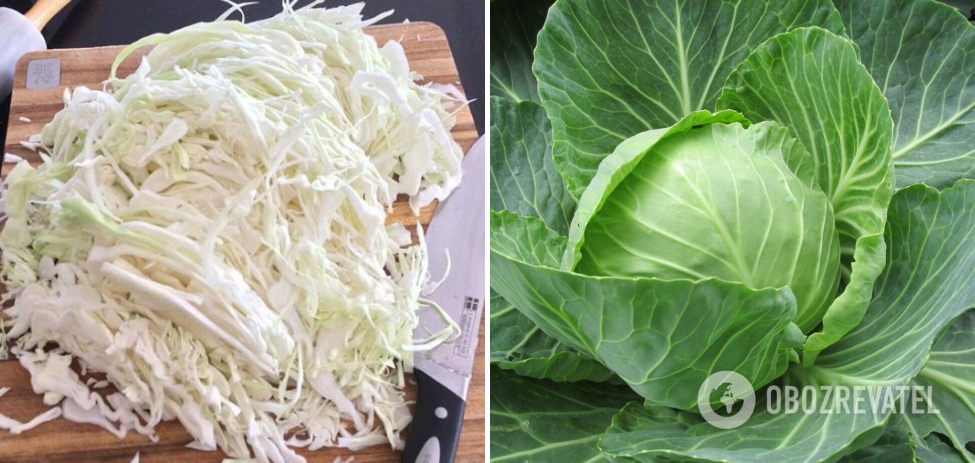 Cabbage for the filling
