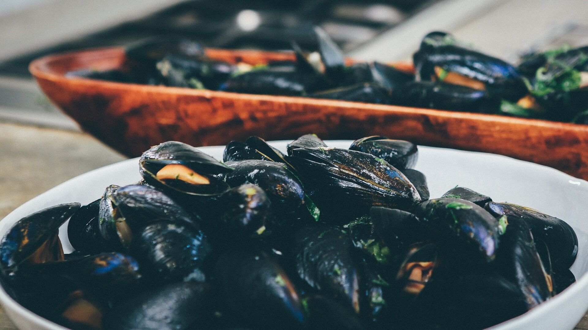 Buy mussels large