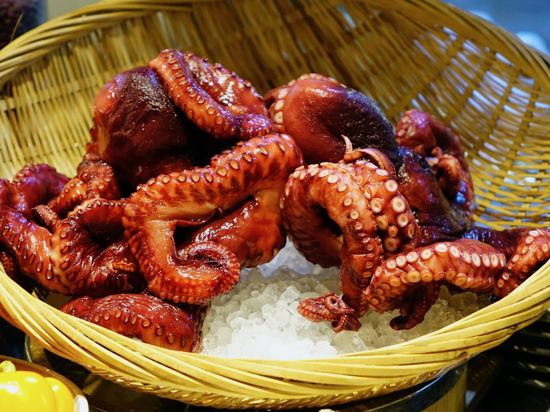 How to choose an octopus in the store