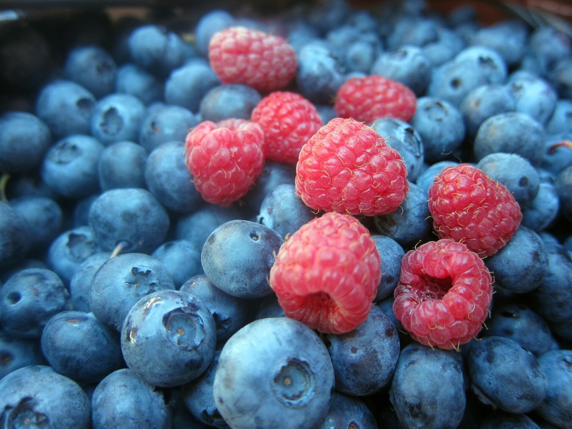 Ukraine has earned hundreds of millions of dollars from fruit and berry exports