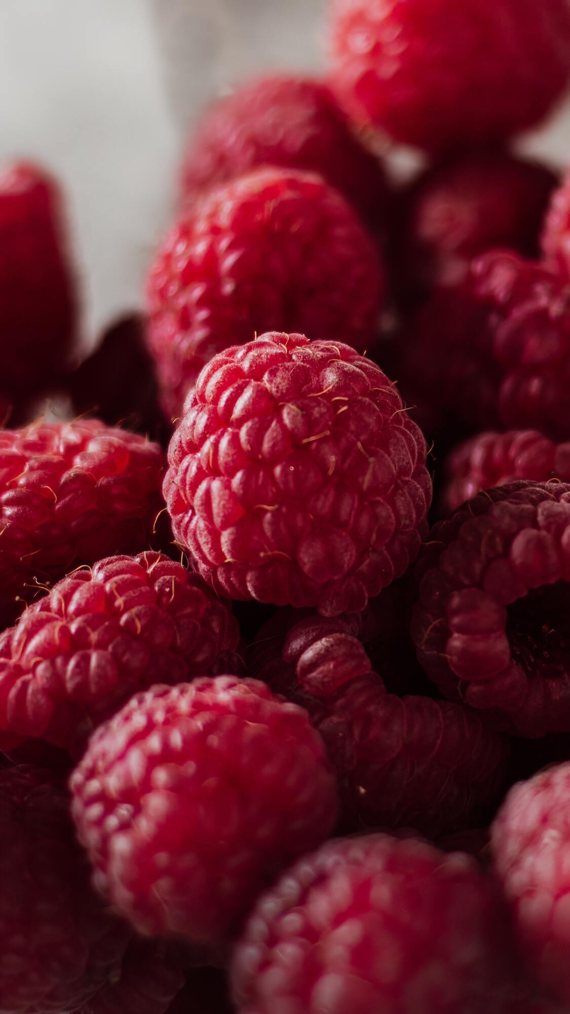 Fresh raspberries