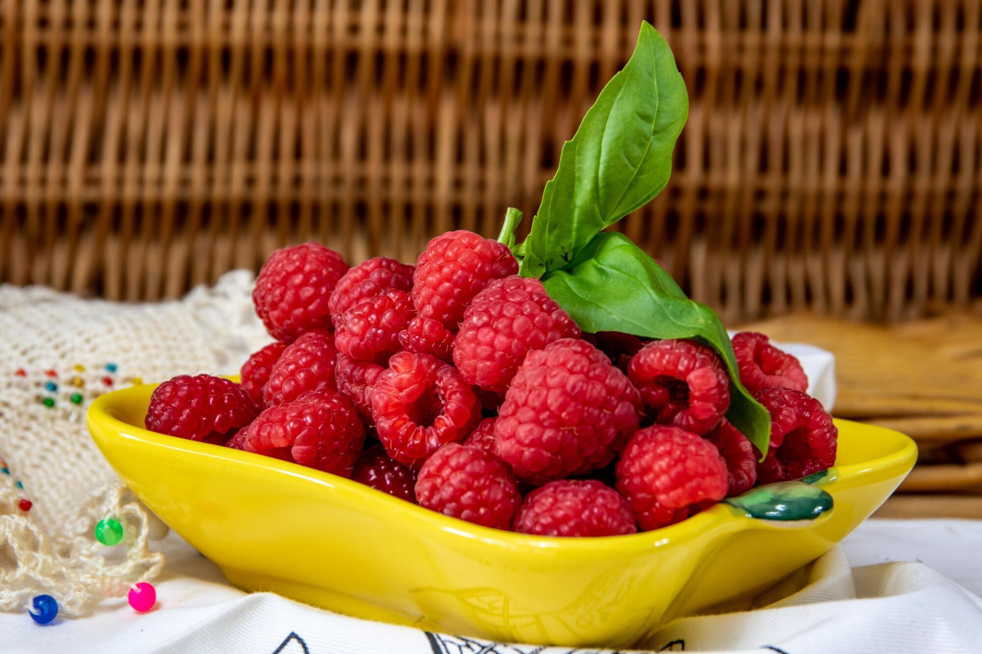 How to dry raspberries in an electric dryer