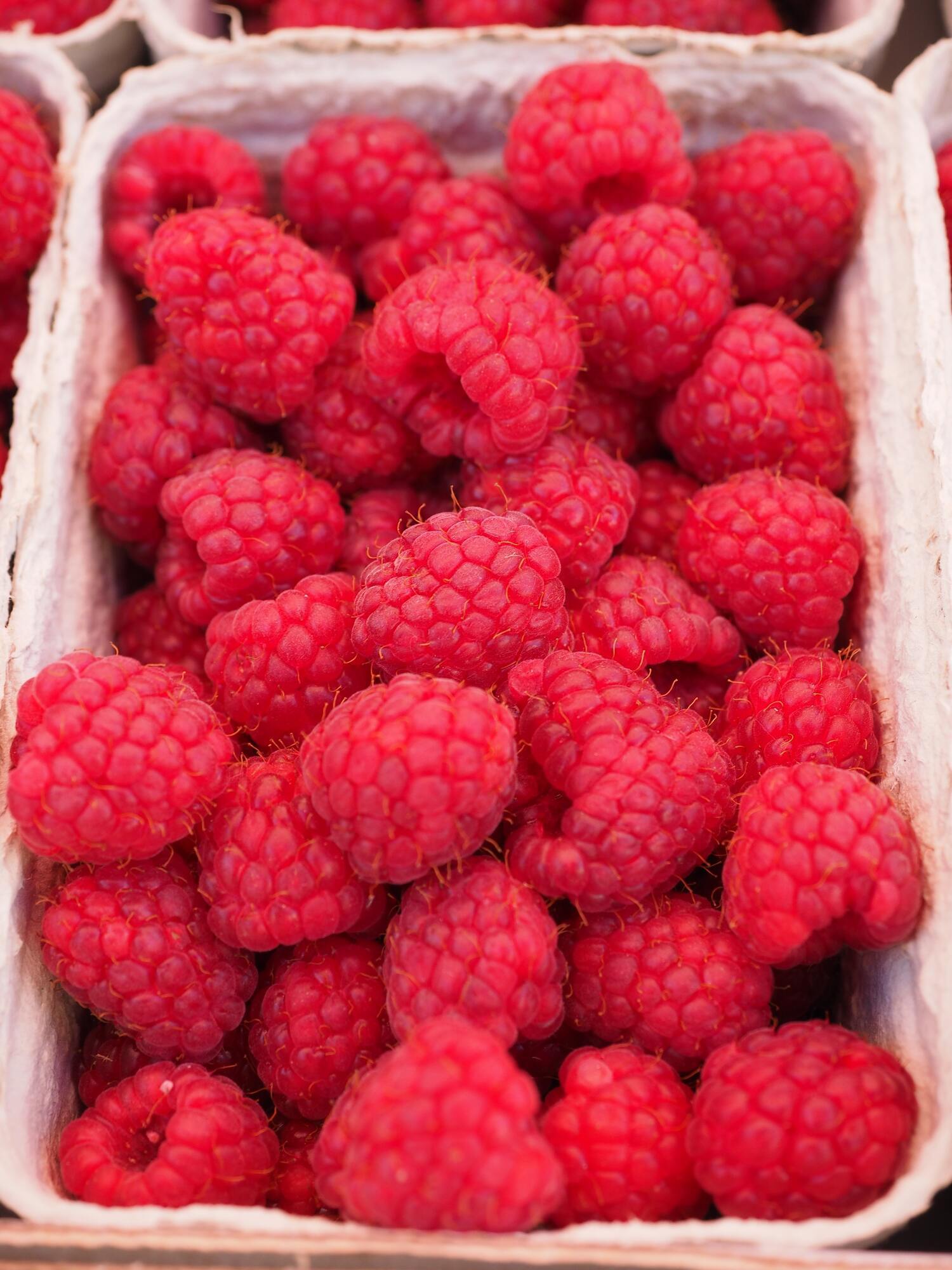 Homegrown ripe raspberries