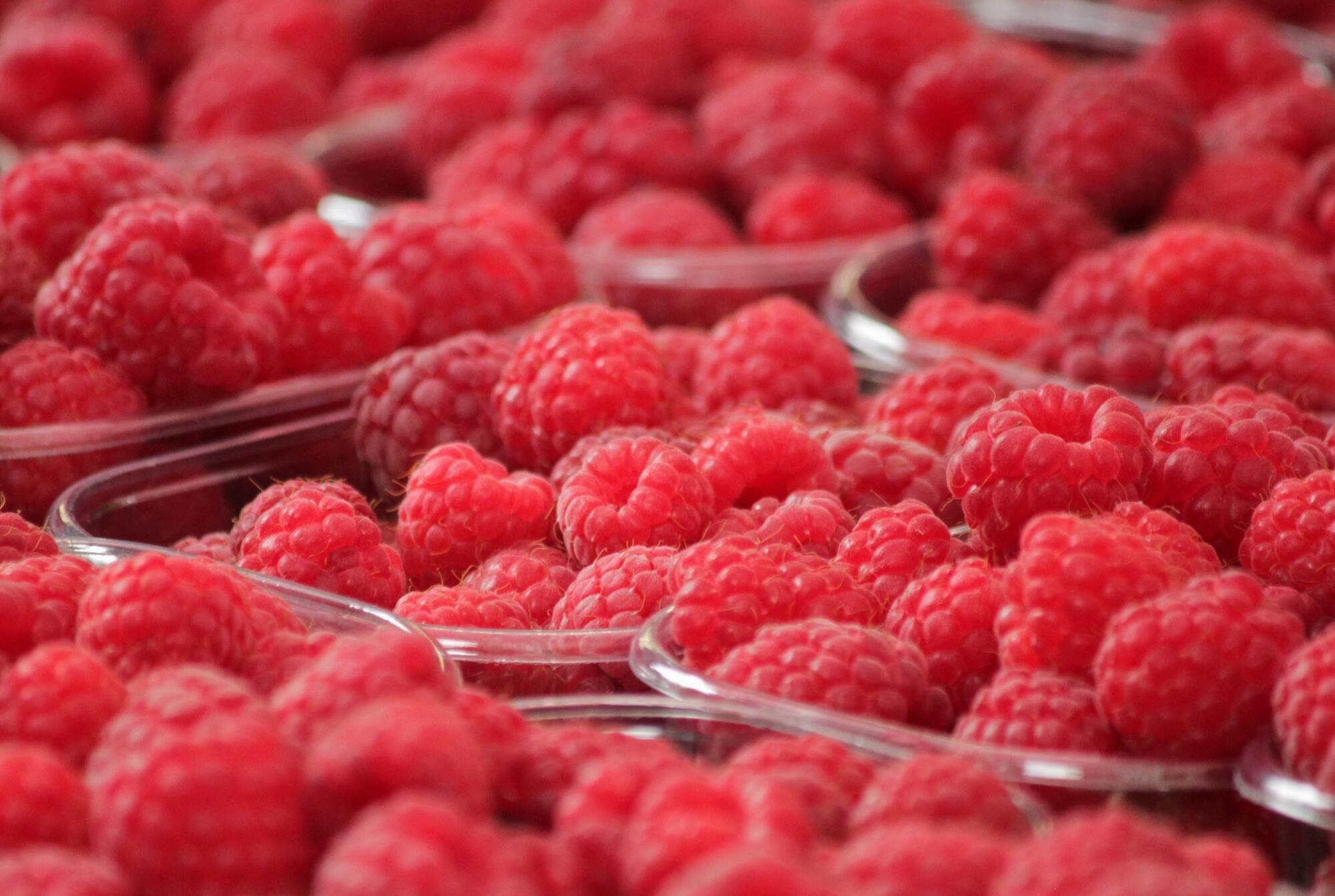 How to dry raspberries in the oven