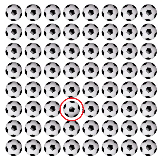 Soccer puzzle for the attentive: find the strange ball in the picture