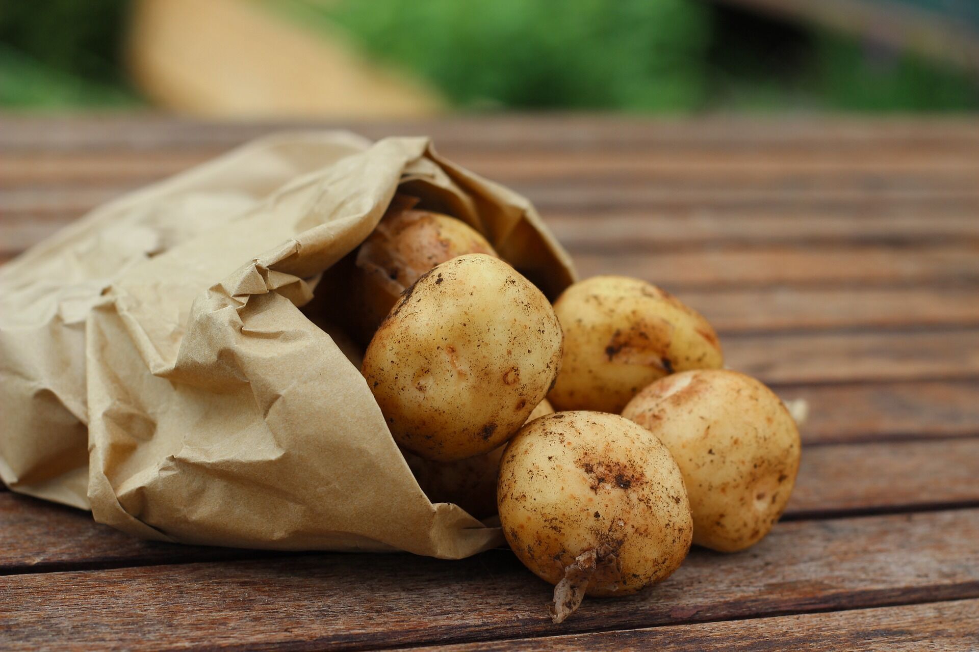 Hinkali can be made with potato filling