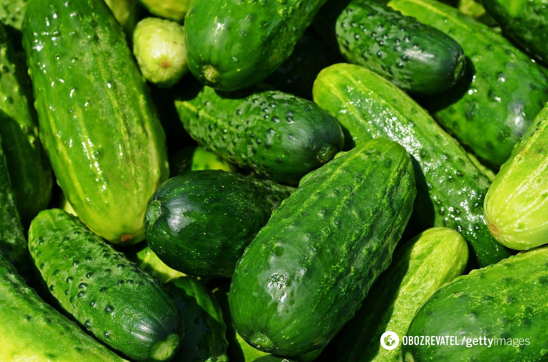 How to quickly pickle cucumbers