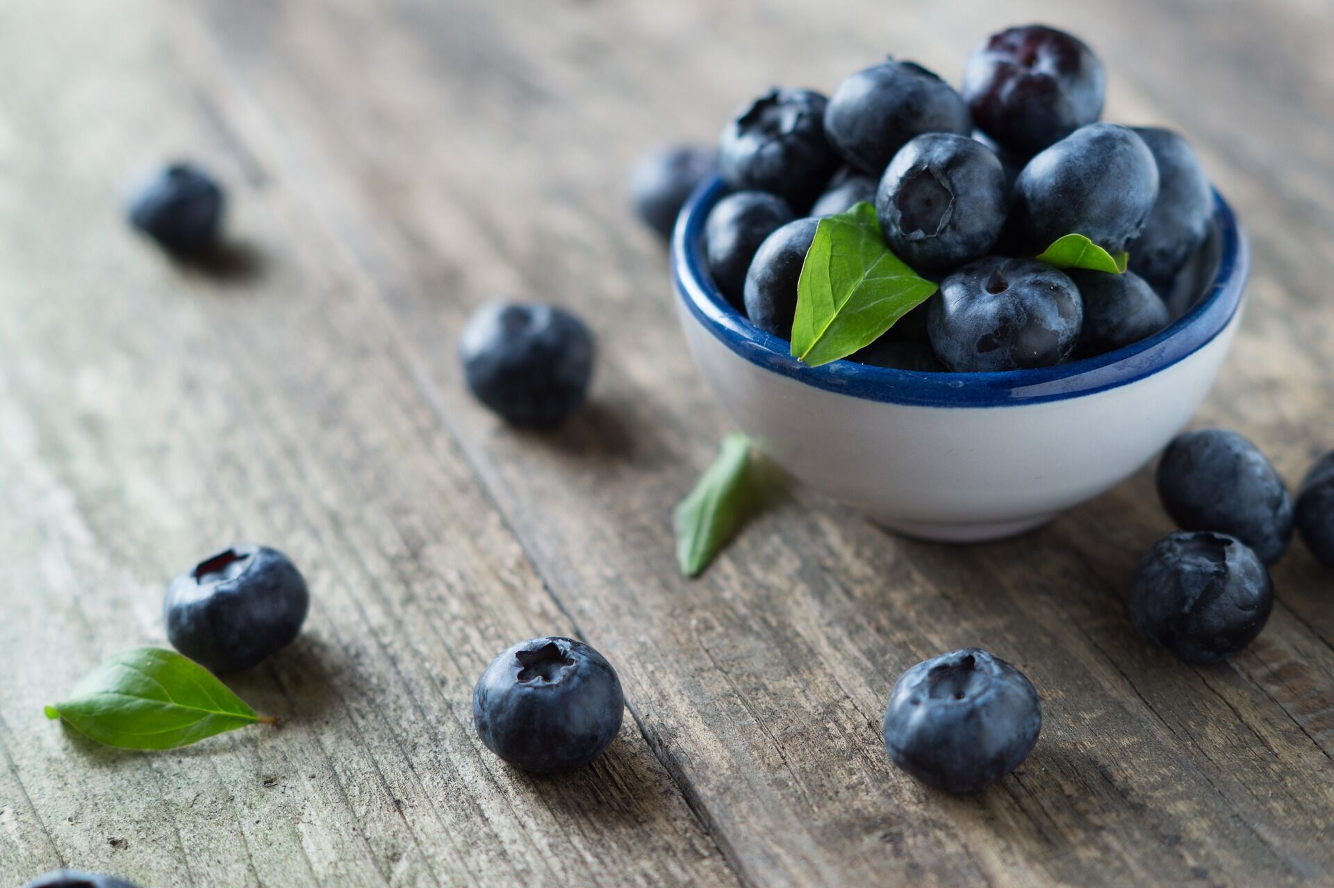 Blueberries for jam