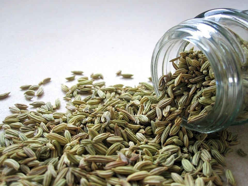 Fennel for a spicy flavor