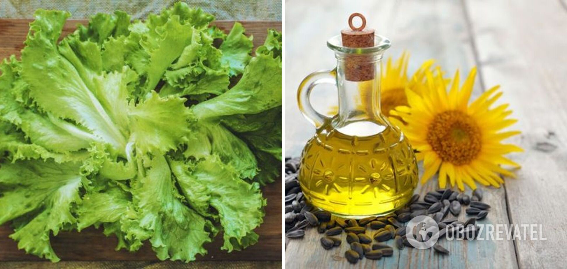 Lettuce leaves and sunflower oil