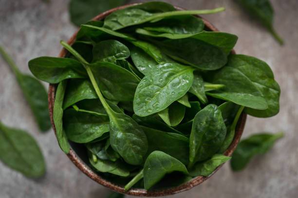 Pickled sorrel for the winter