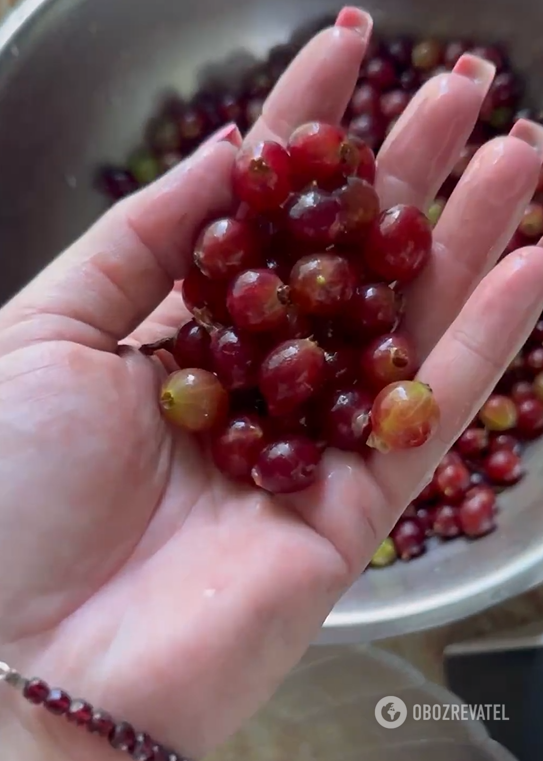 Malibu gooseberry jam: how to make it at home