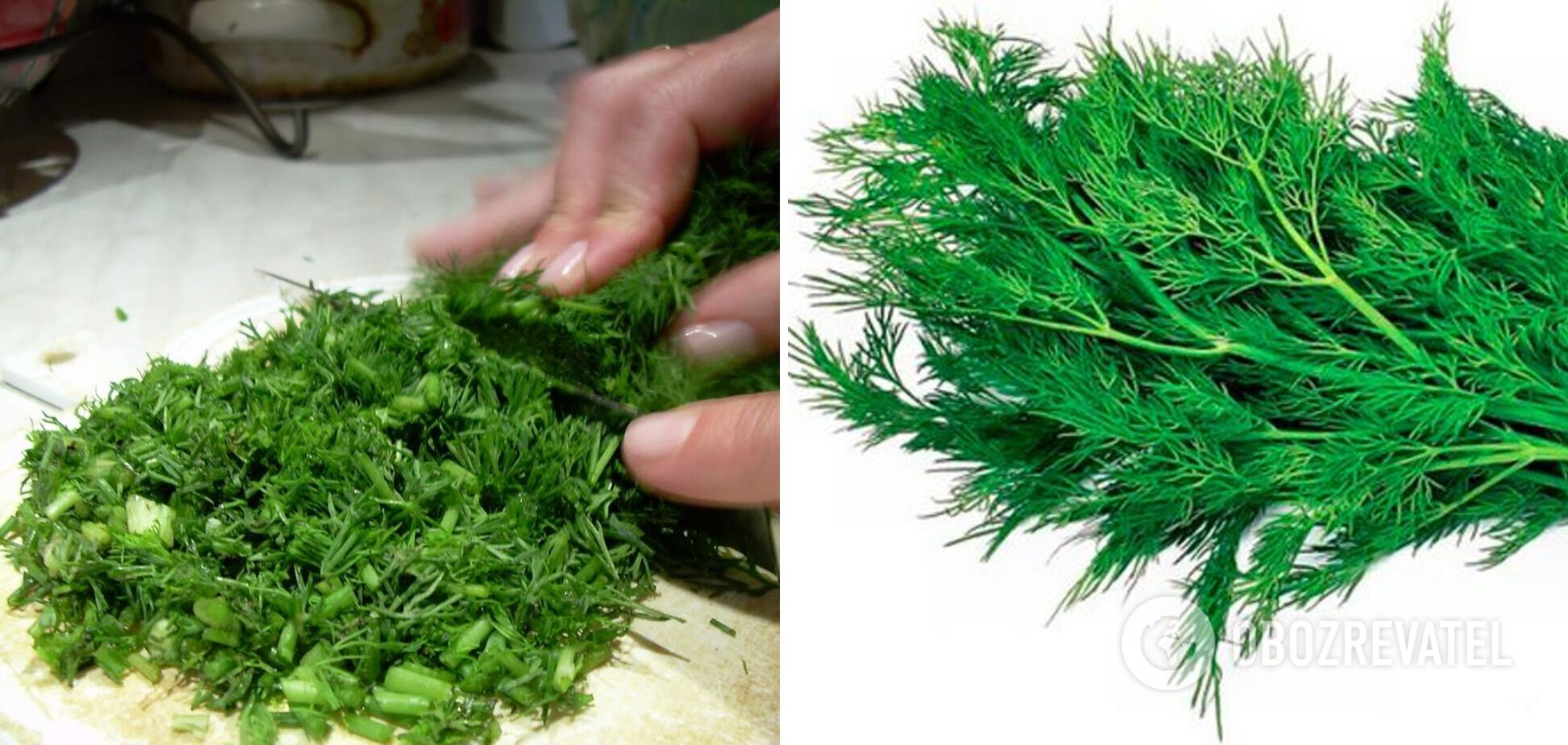 Chopped dill