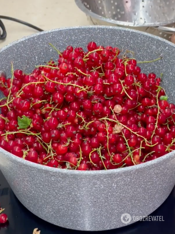 How to make jelly from berries