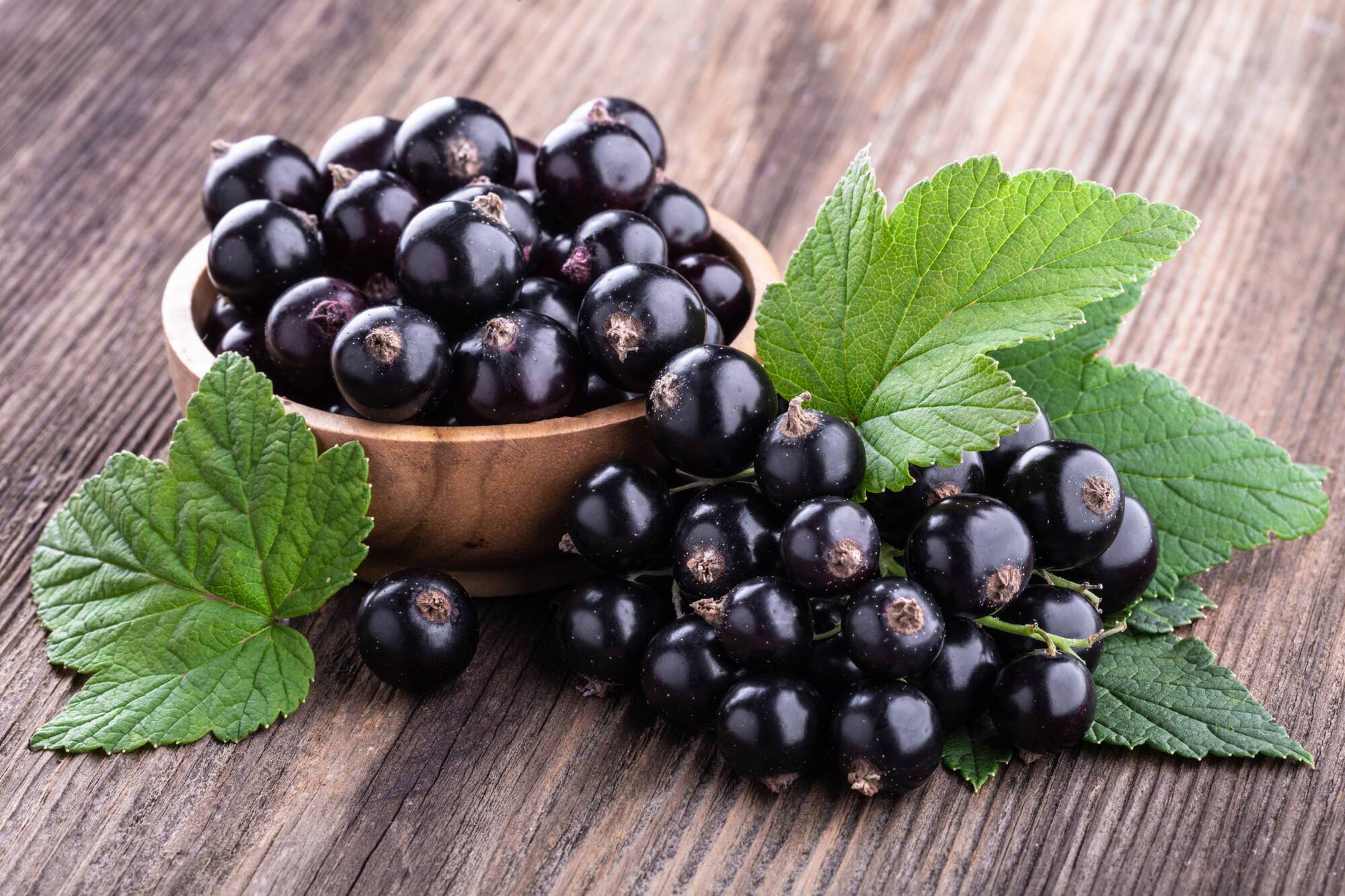 Why currants are good for you: significant benefits for your eyesight