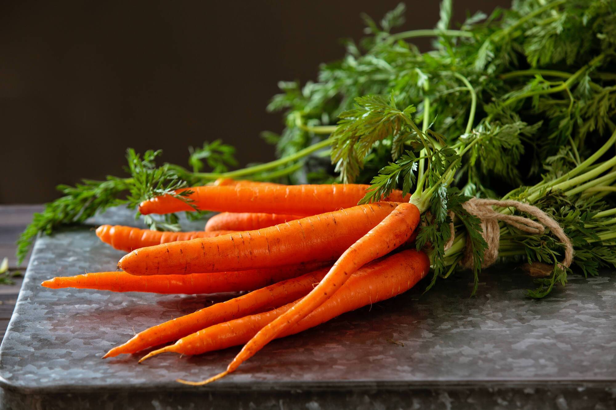 Useful properties of carrots, which few people know about, are announced