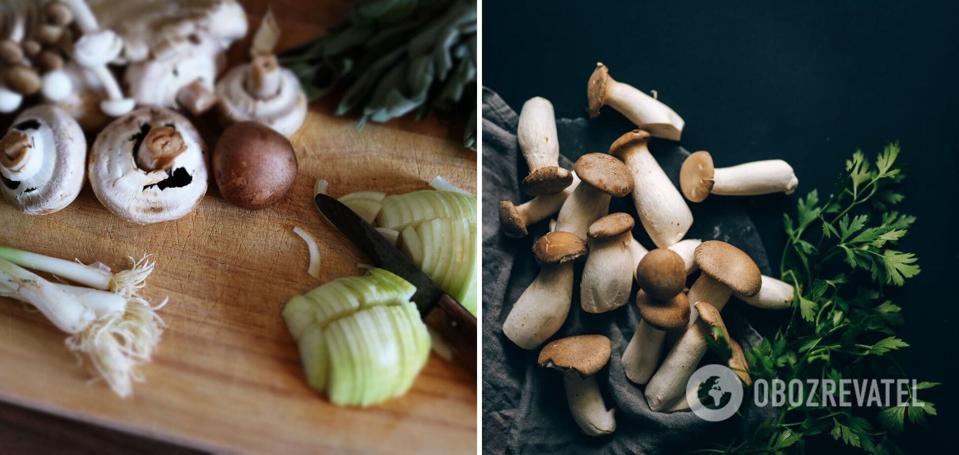 How to make a delicious soup from mushrooms