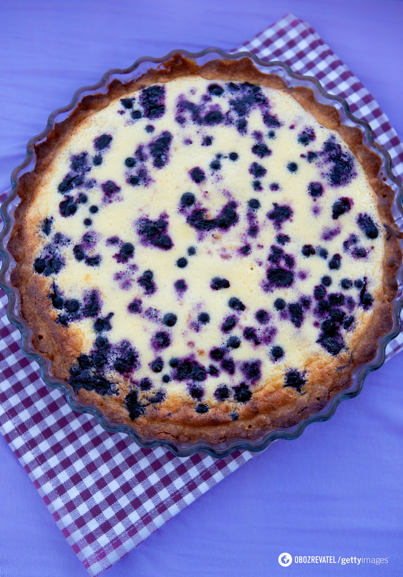 Homemade pie with blueberries and sour cream filling