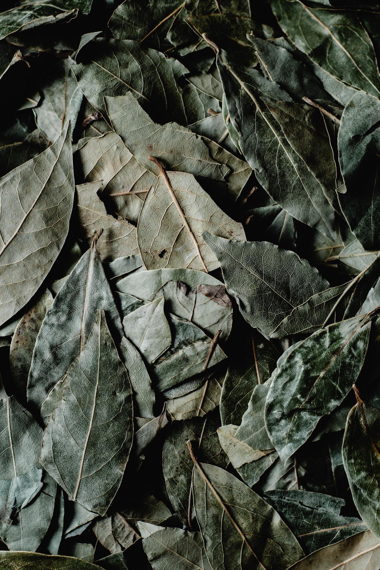 Dried bay leaves