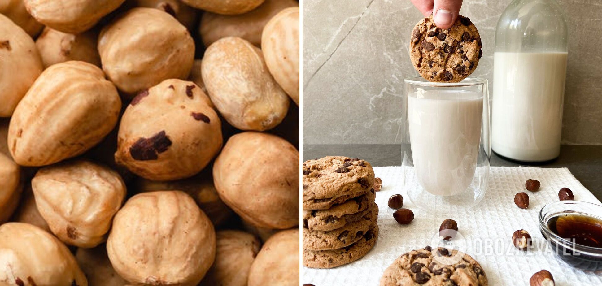 Homemade oatmeal cookies with chocolate and hazelnuts: how to replace flour