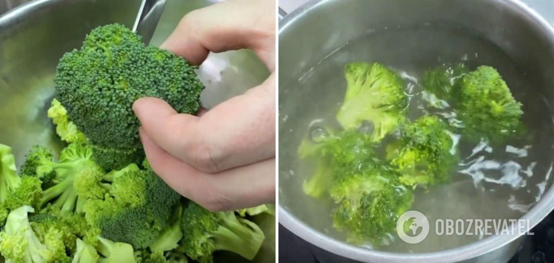 Broccoli for the dish