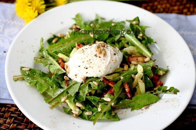 Salad with dandelion leaves and poached egg
