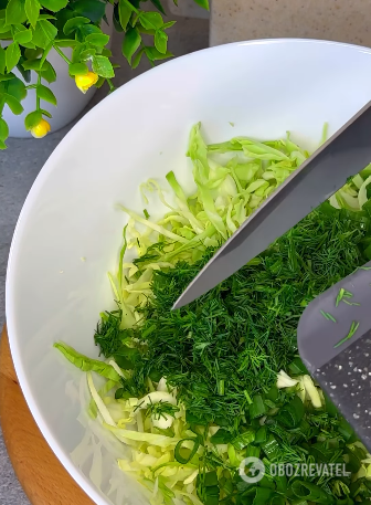 Young cabbage salad: how to create a summer masterpiece from an ordinary vegetable