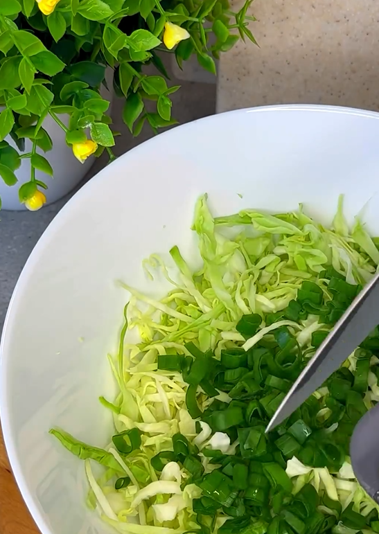 The most delicious young cabbage salad without mayonnaise: how to season the dish